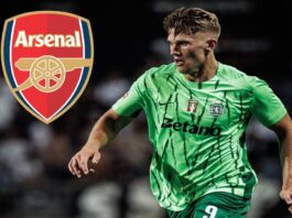 Profil Pemain: Viktor Gyokeres